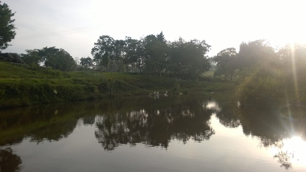 Salto_del_Mico_Los_Santos_wikimedia_commons_SebastianGalvis-1-1000x563 - El hermoso pueblito colombiano con bellas cascadas, vistas impresionantes a un gran cañón y exquisito café a 90 minutos de Bucaramanga