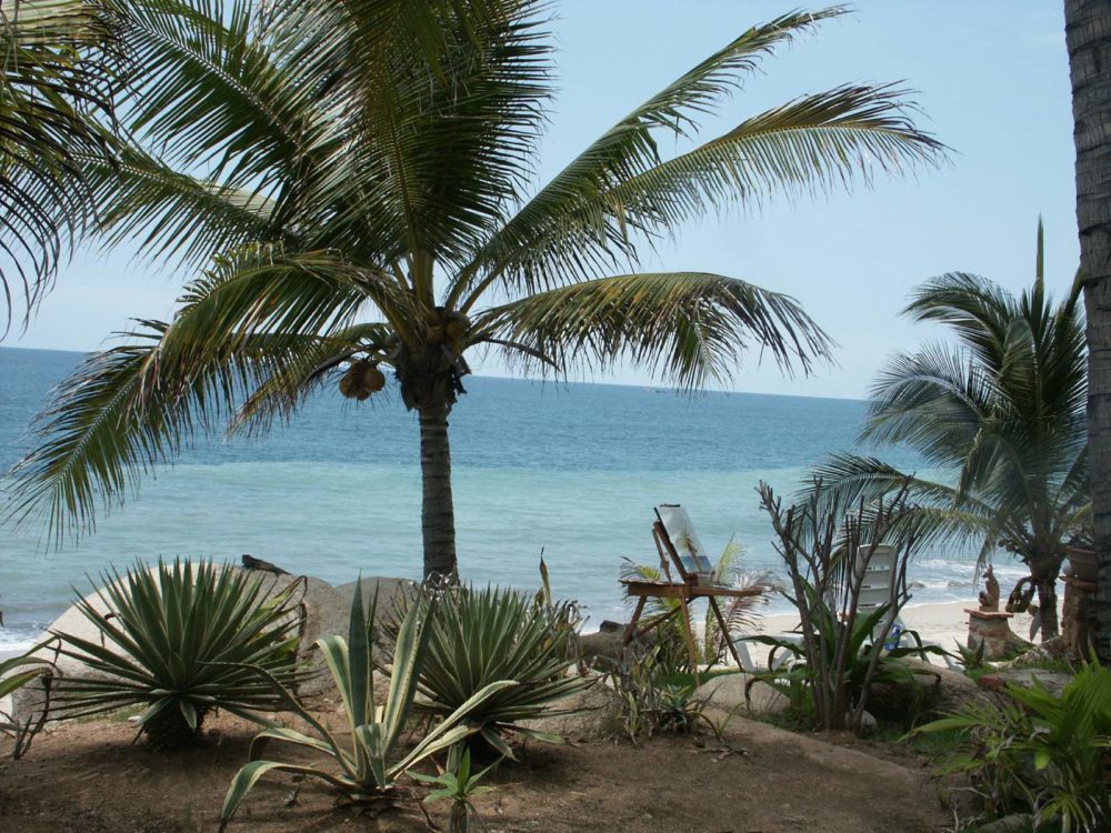 Sayulita_nayarit_wikimedia_commons_Carlos-E.-Sainz-1000x750 - Estas preciosas playas de Nayarit son pet-friendly y perfectas para unas vacaciones de verano con toda la familia
