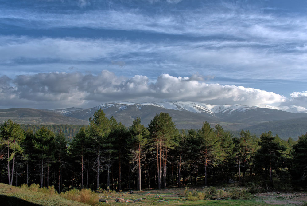 Sierra-Greda-1000x670 - El pintoresco pueblito con casitas entramadas, bellas calles para caminar y preciosos paisajes para hacer turismo rural a 2 horas de Madrid