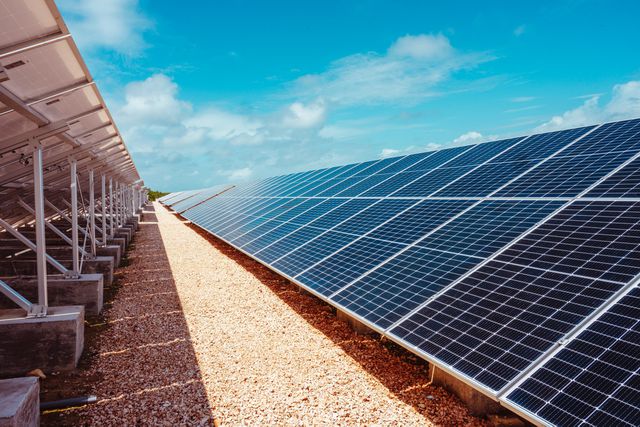 TAL-solar-farm-ZEMIBEACHHOUSE0524-a3304678dd694a8290465b29ea5db768 - Este resort frente a la playa en Anguila tiene más de 140 tipos de rones, un spa famoso y una playa privada prístina
