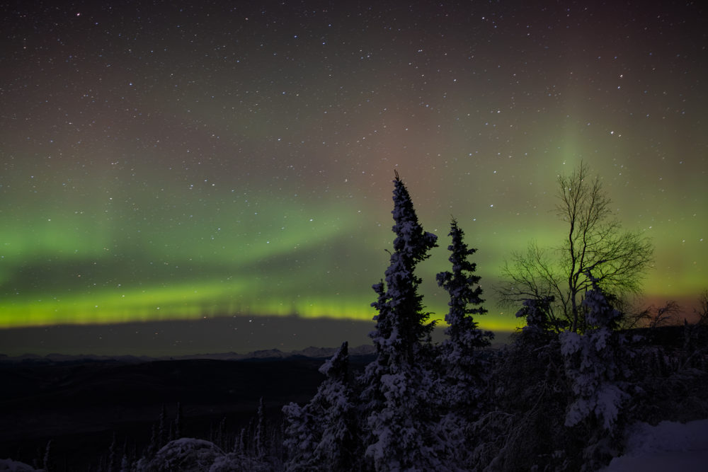 Auroras boreales: los espíritus del bosque