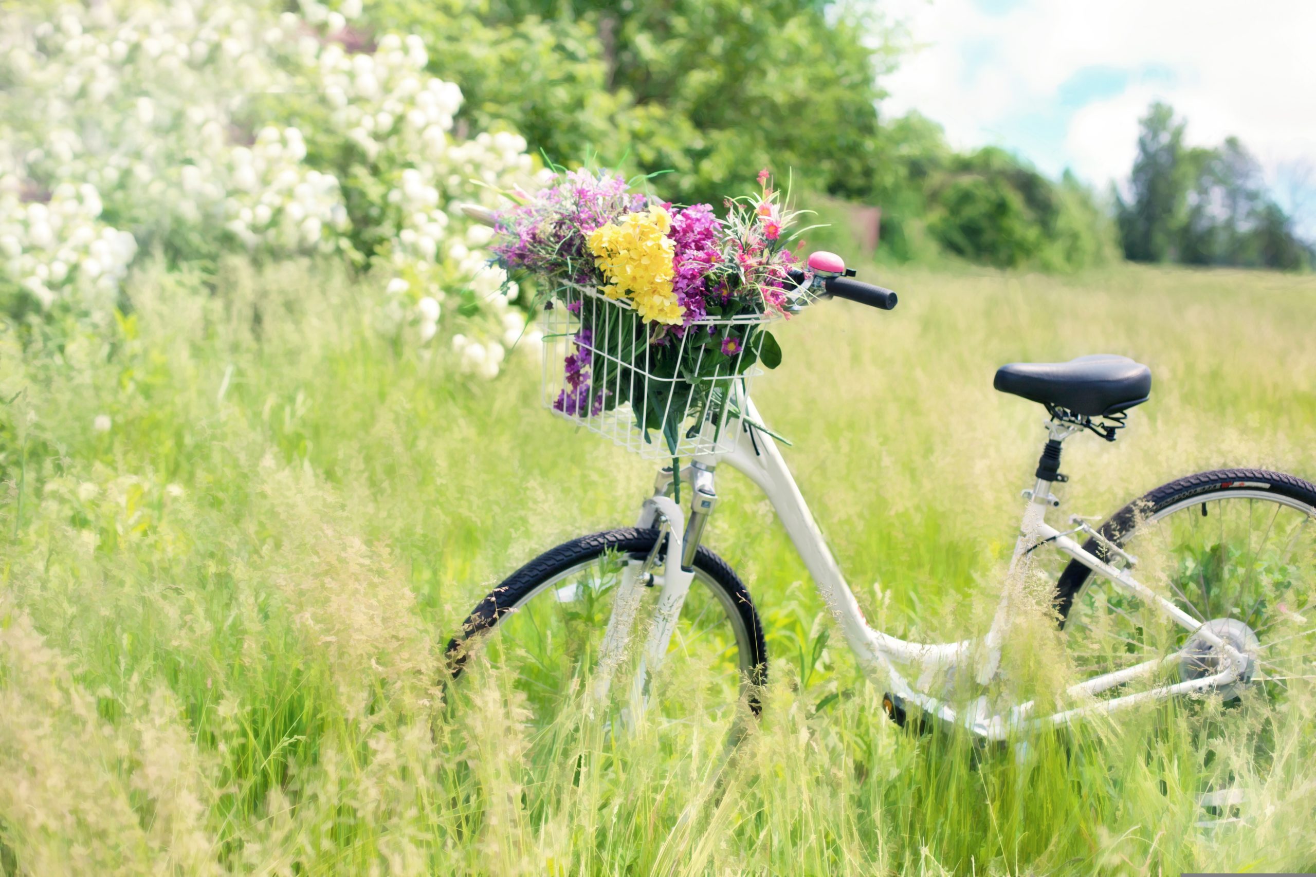 El bonito Pueblo Mágico ideal para recorrer en bicicleta con lindos paisajes y buena música de banda