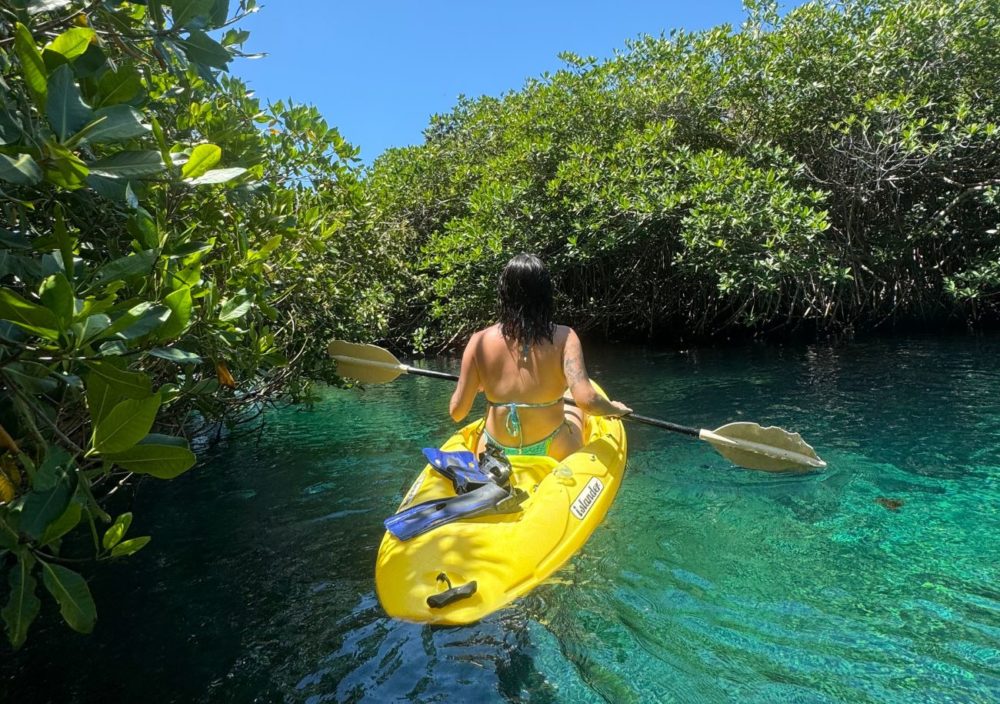 Cenote Manatí, el hogar de “Panchito” (el cocodrilo) en Tulum 