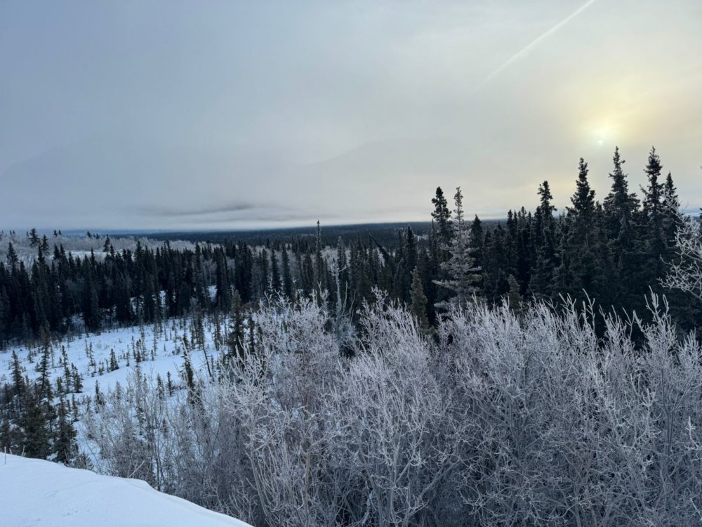 El desierto más pequeño del mundo está cubierto de nieve