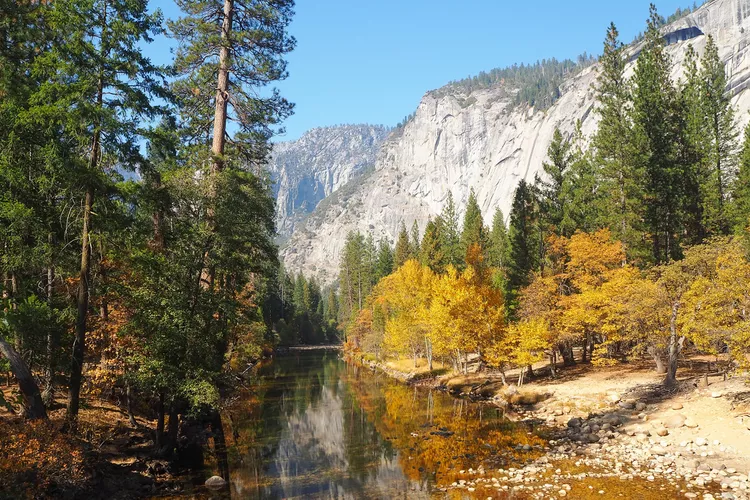 image-47 - Cómo planear el viaje perfecto al Parque Nacional Yosemite, según naturalistas y expertos del parque