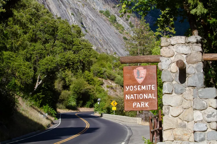 image-48 - Cómo planear el viaje perfecto al Parque Nacional Yosemite, según naturalistas y expertos del parque