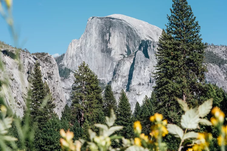 image-49 - Cómo planear el viaje perfecto al Parque Nacional Yosemite, según naturalistas y expertos del parque