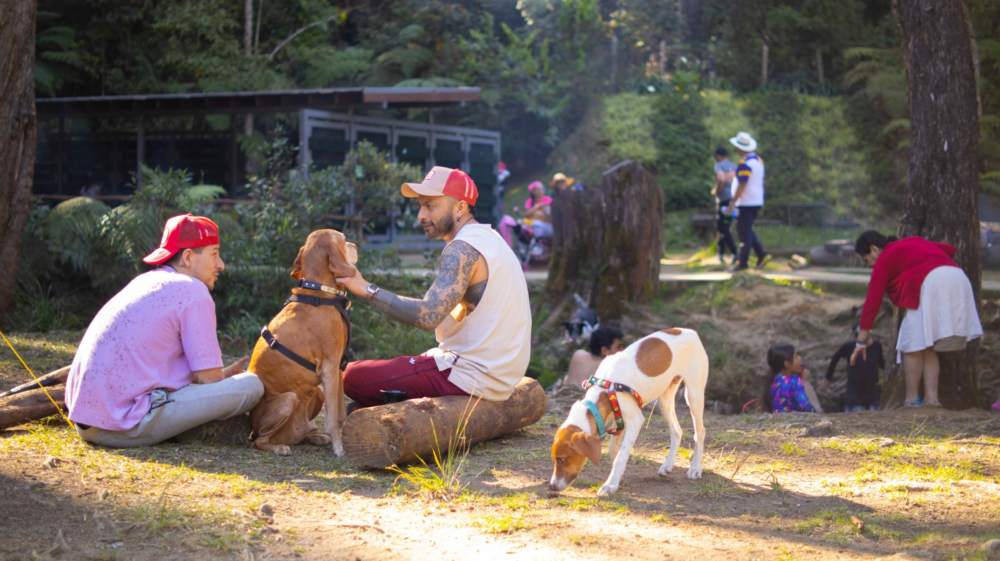 image-55-1000x561 - Como un local (adoptivo): Medellín por Alberto Revoredo