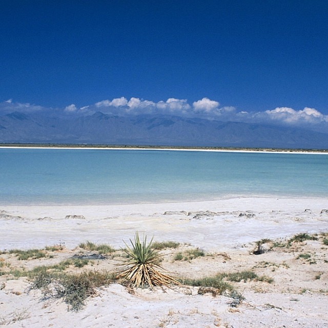 las-playitas - La playa que es un oasis en medio del desierto en este Pueblo Mágico y podrás hacer senderismo, andar en bicicleta o mirar el hermoso cielo estrellado
