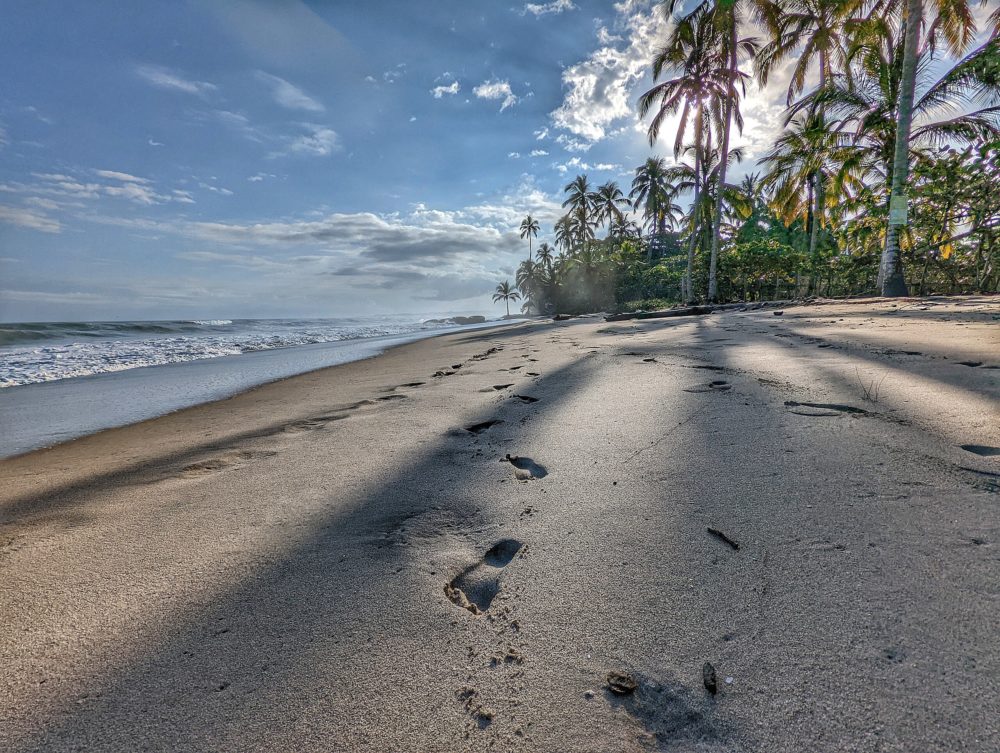 palomino_wikimedia_commons_Fabian-Abtonio-Hoyos-Pulido-1000x753 - Cuál es el hermoso pueblito de Colombia que combina playas y sierras y puedes practicar deportes extremos