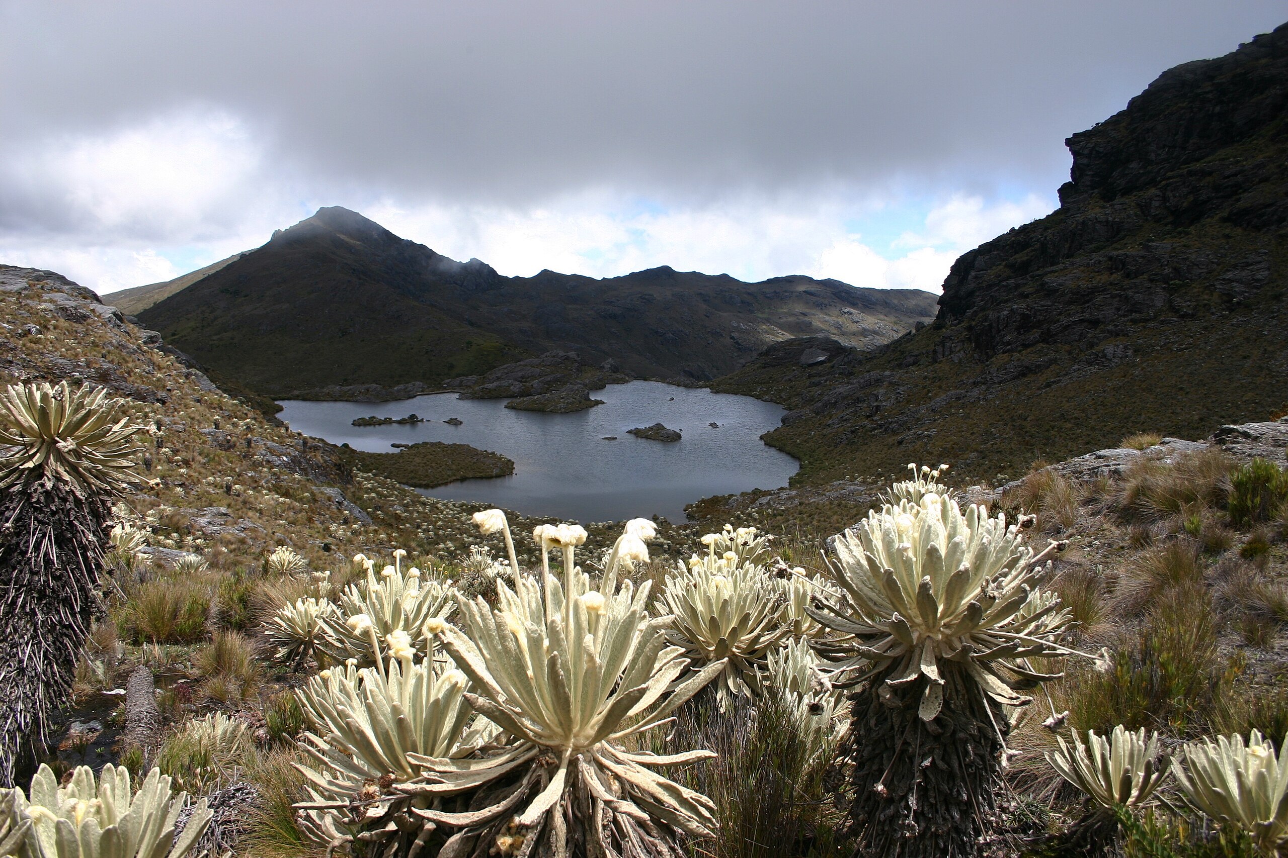 El precioso páramo con divinas lagunas y paisajes alucinantes para hacer ecoturismo y senderismo a pocas horas de Bucaramanga El precioso páramo con divinas lagunas y paisajes alucinantes para hacer ecoturismo y senderismo a pocas horas de Bucaramanga