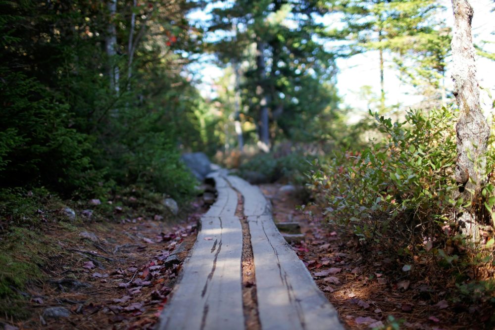 parque_nacional_Acadia_Maine-1000x667 - Bajo las estrellas: 4 Parques Nacionales para ir de camping en Estados Unidos