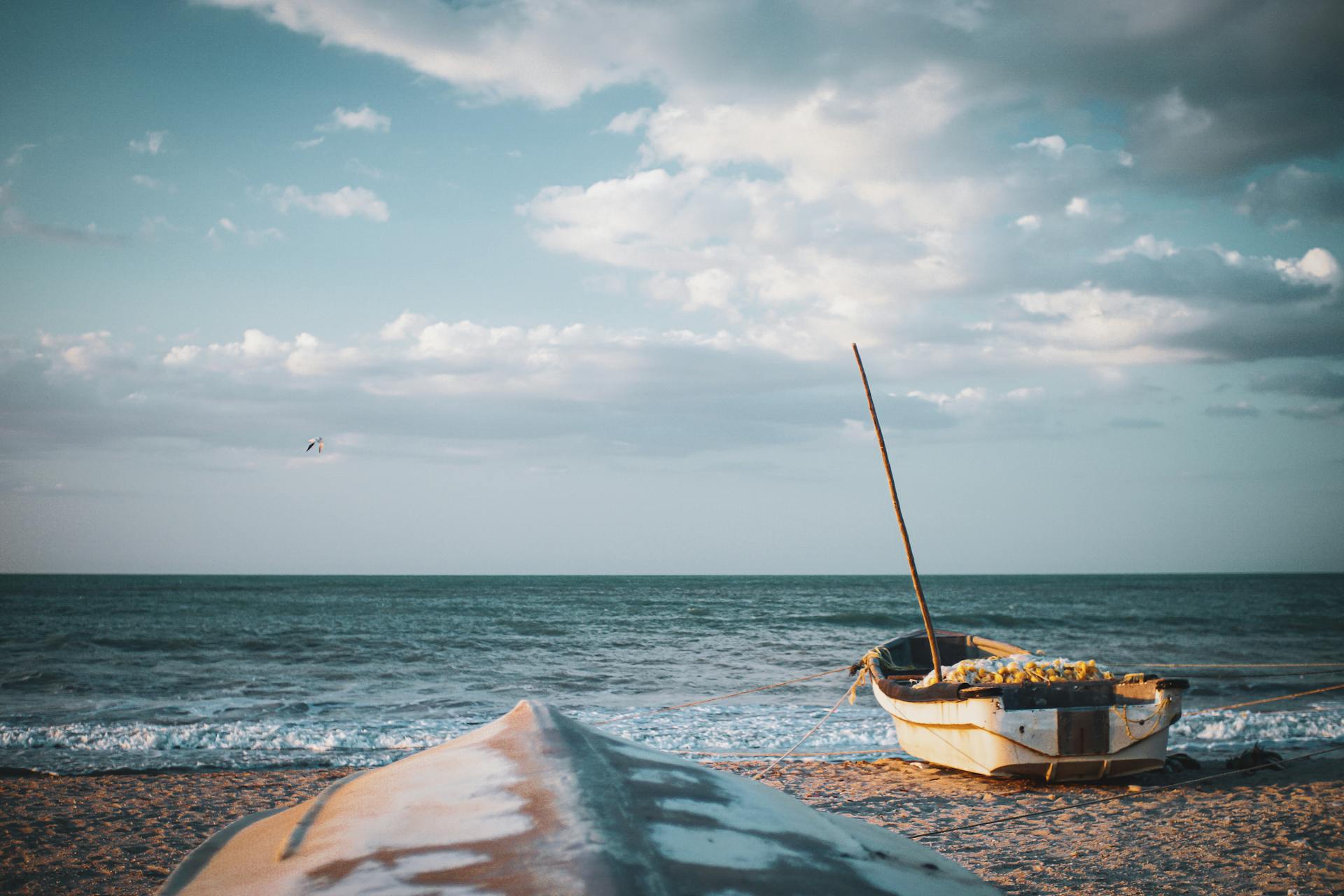 El paradisíaco pueblito de Colombia con playas espectaculares, avistaje de ballenas y perfecto para el ecoturismo