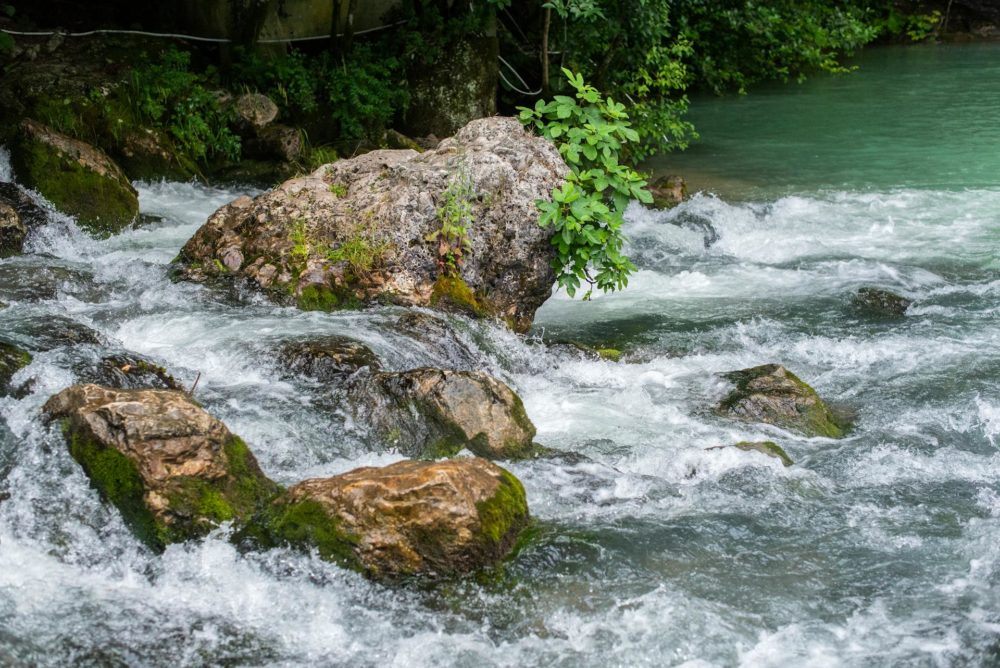 La bonita cascada a 3 horas de Villahermosa que se esconde tras un sendero con espectaculares aguas verde jade