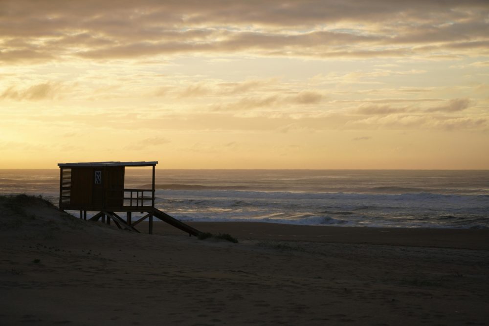 pexels-pedrosk-11838868-1000x667 - Como un local adoptivo: Punta del Este, por Jerónimo Tellarini