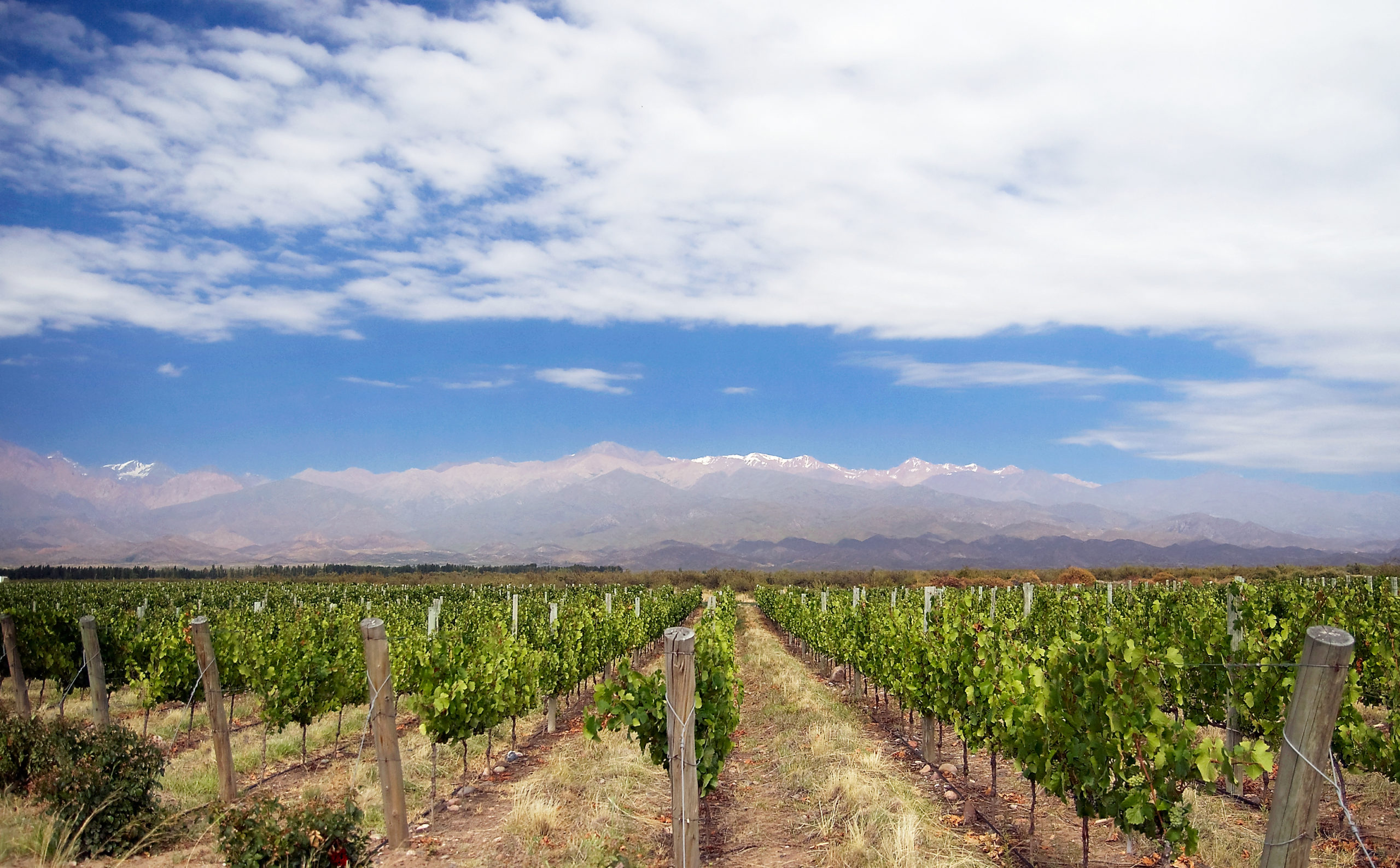 El pueblito de Mendoza con ricos vinos y paisajes de cuento que fue nominado por la ONU Turismo como uno de los más bonitos del mundo