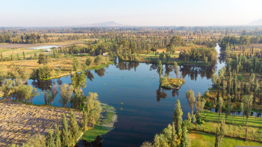 xochimilco-pixabay-1000x561 - El colorido y hermoso Barrio Mágico de la CDMX que fue nombrado Patrimonio de la Humanidad por la UNESCO
