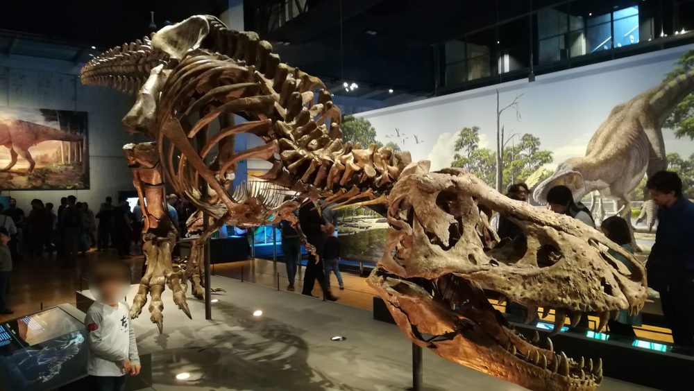 Barcelona-Museum-CosmoCaixa-wikimedia-commons-Kintaro-1000x564 - El museo en Barcelona que pocos conocen y es ideal para fanáticos de la ciencia y con muchas actividades para niños curiosos