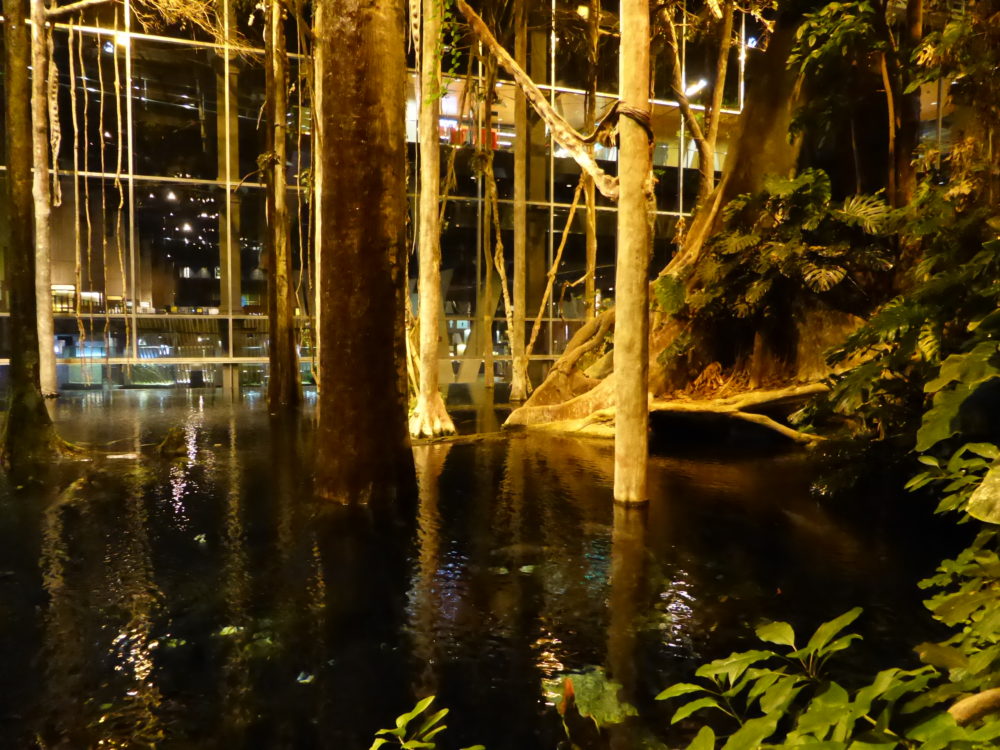 Barcelona-Museum-CosmoCaixa-wikimedia-commons-MartinThoma2-1000x750 - El museo en Barcelona que pocos conocen y es ideal para fanáticos de la ciencia y con muchas actividades para niños curiosos