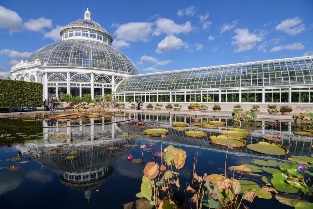 Brooklyn_Botanic_Garden_New_York_wikimedia_commons_King-of-Hearts3-2-1000x667 - Todos los jardines botánicos de Nueva York, dónde están ubicados y qué ver en cada uno