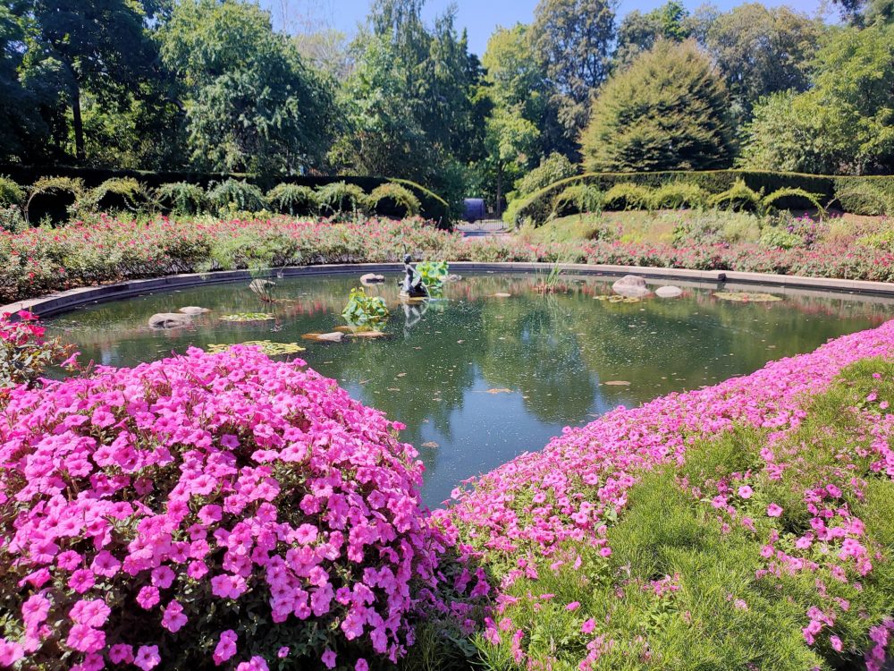 Todos los jardines botánicos de Nueva York, dónde están ubicados y qué ver en cada uno