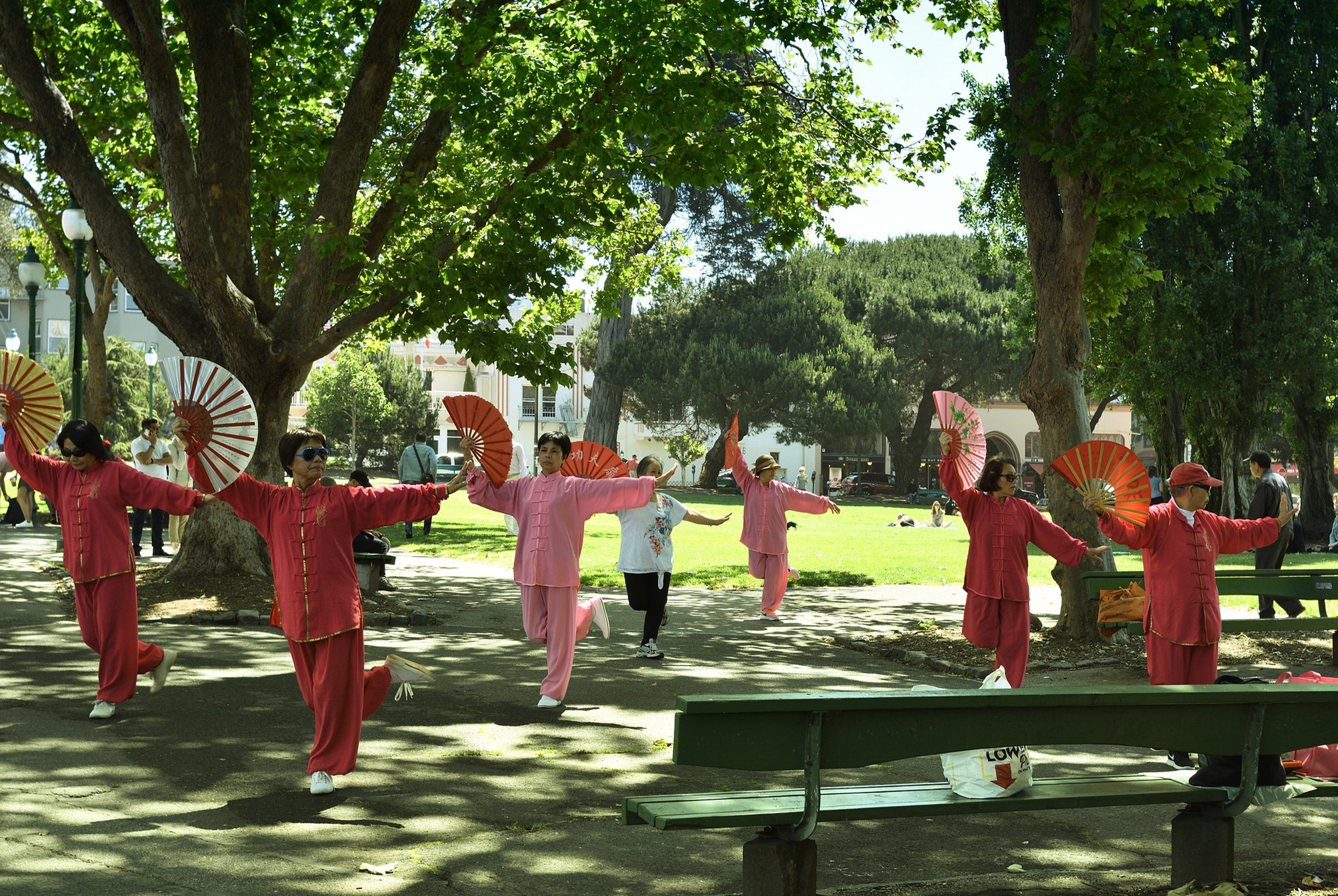 No es Chinatown: el curioso jardín asiático en Nueva York que casi nadie conoce y tiene cascadas con bellos senderos para recorrer