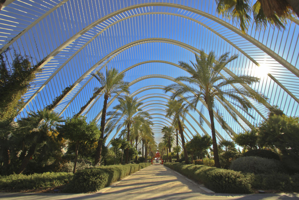 Ciudad-De-Las-Artes-y-Las-Ciencias3-1000x670 - Qué ver en la Ciudad de las Artes y las Ciencias en Valencia: el recorrido imprescindible