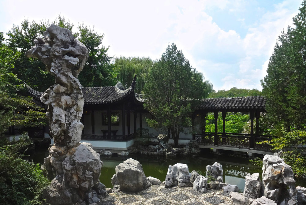 Estante-Koi-1000x670 - No es Chinatown: el curioso jardín asiático en Nueva York que casi nadie conoce y tiene cascadas con bellos senderos para recorrer