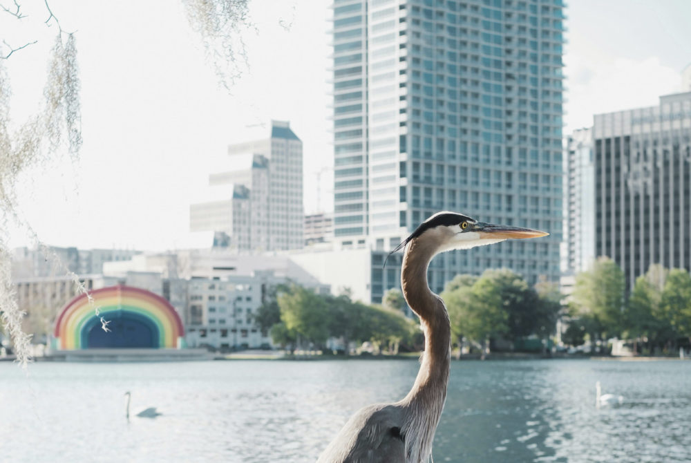 Florida-1000x670 - Qué hacer en Orlando además de visitar Disney: 5 planes para hacer en tu estadía