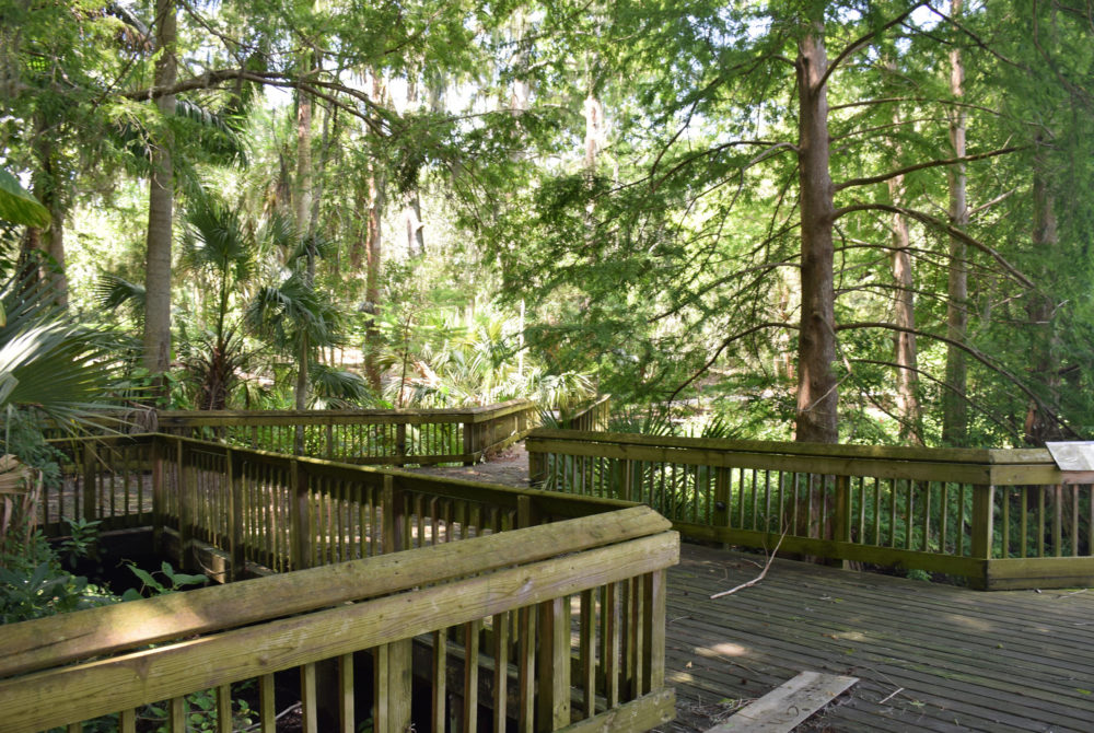 Harry-P-Leu-Garden-1000x670 - Qué hacer en Orlando además de visitar Disney: 5 planes para hacer en tu estadía