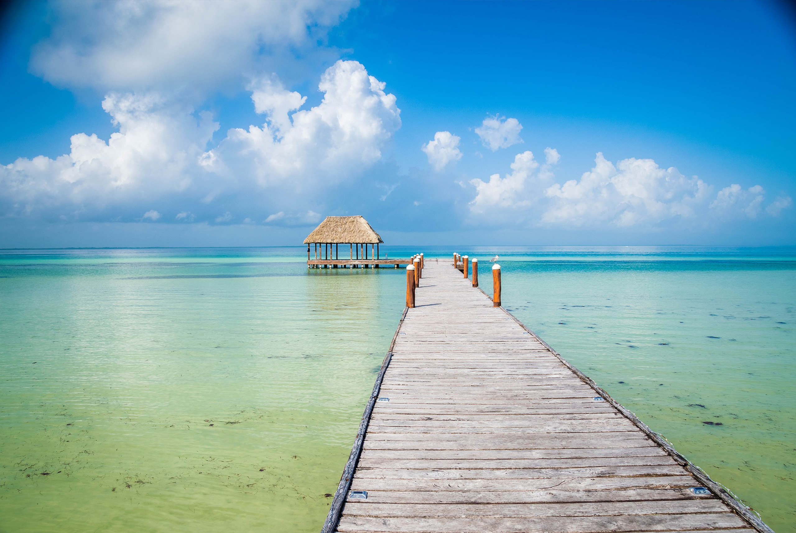 Cuándo viajar a Holbox: la mejor época del año