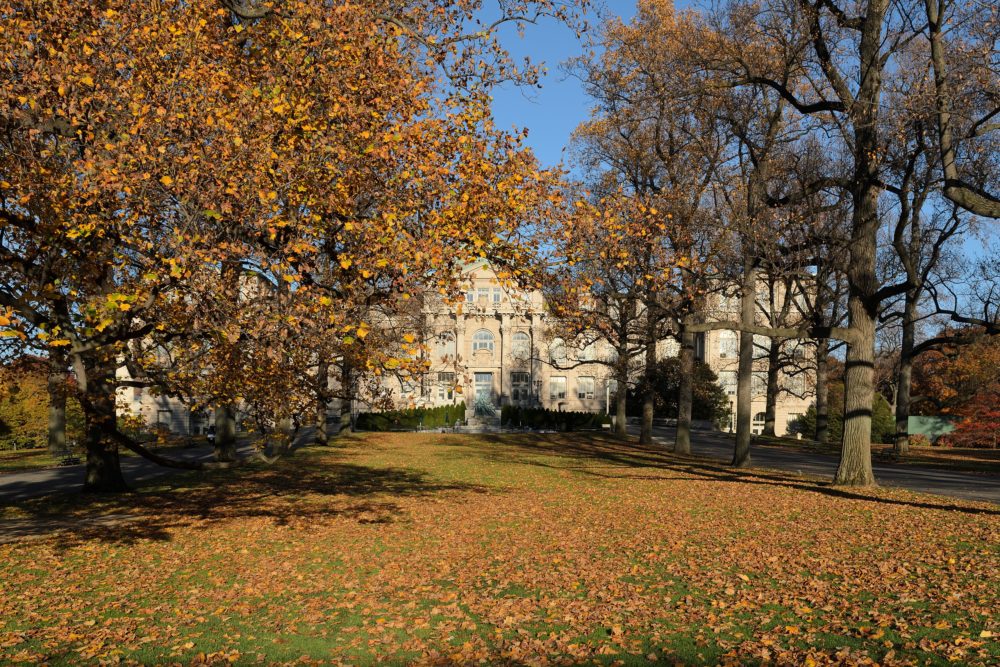 New_York_Botanical_Garden_wikimedia_commons_King-of-Hearts2-1000x667 - Cómo visitar el Jardín Botánico de Nueva York en el Bronx y obtener un 50% de descuento en la entrada
