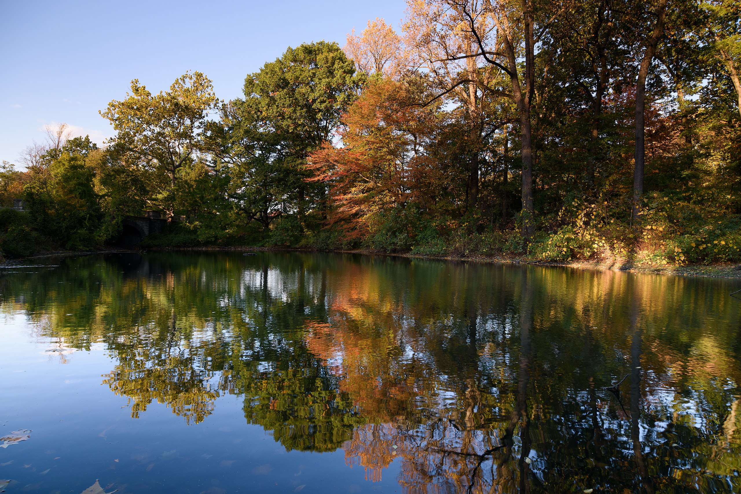 Cómo visitar el Jardín Botánico de Nueva York en el Bronx y obtener un 50% de descuento en la entrada