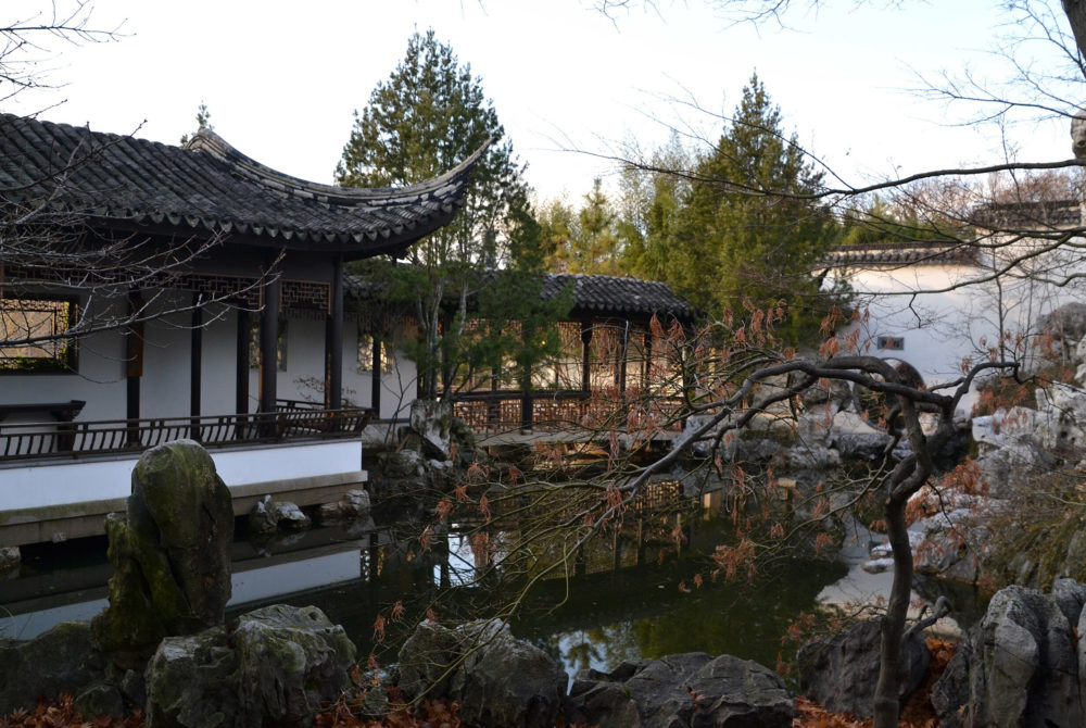 Nueva-York-Chinese-Garden-1000x670 - No es Chinatown: el curioso jardín asiático en Nueva York que casi nadie conoce y tiene cascadas con bellos senderos para recorrer