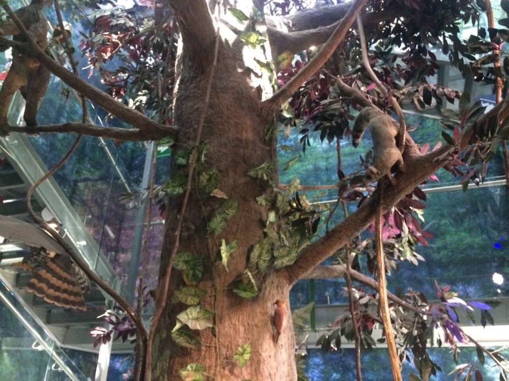 Papalote_Museo_del_Nino_wikimedia_commons_Flama23-1000x750 - Todas las actividades para hacer con los niños en el Museo del Papalote y cuánto tiempo se necesita para recorrerlo