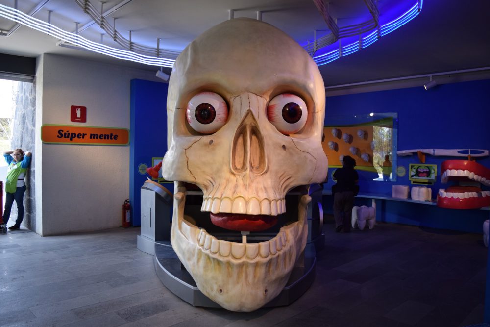 Papalote_Museo_del_Nino_wikimedia_commons_Gobierno-CDMX2-1000x667 - Todas las actividades para hacer con los niños en el Museo del Papalote y cuánto tiempo se necesita para recorrerlo