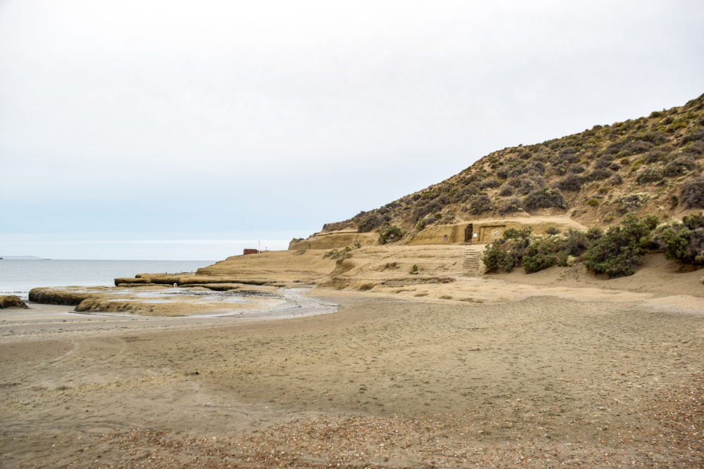 Puerto-Piramides-1000x667 - Empezó la temporada de ballenas en Puerto Madryn