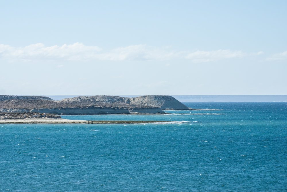 Puerto_Madryn_wikimedia_commons_Francisco-Paez-1000x670 - Cuándo viajar a Puerto Madryn para ver las ballenas