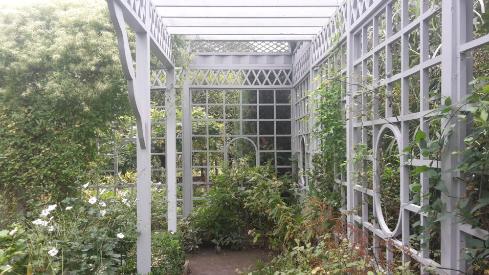 Snug_Harbor_botanical_wikimedia_commons_Aude-1000x563 - Todos los jardines botánicos de Nueva York, dónde están ubicados y qué ver en cada uno