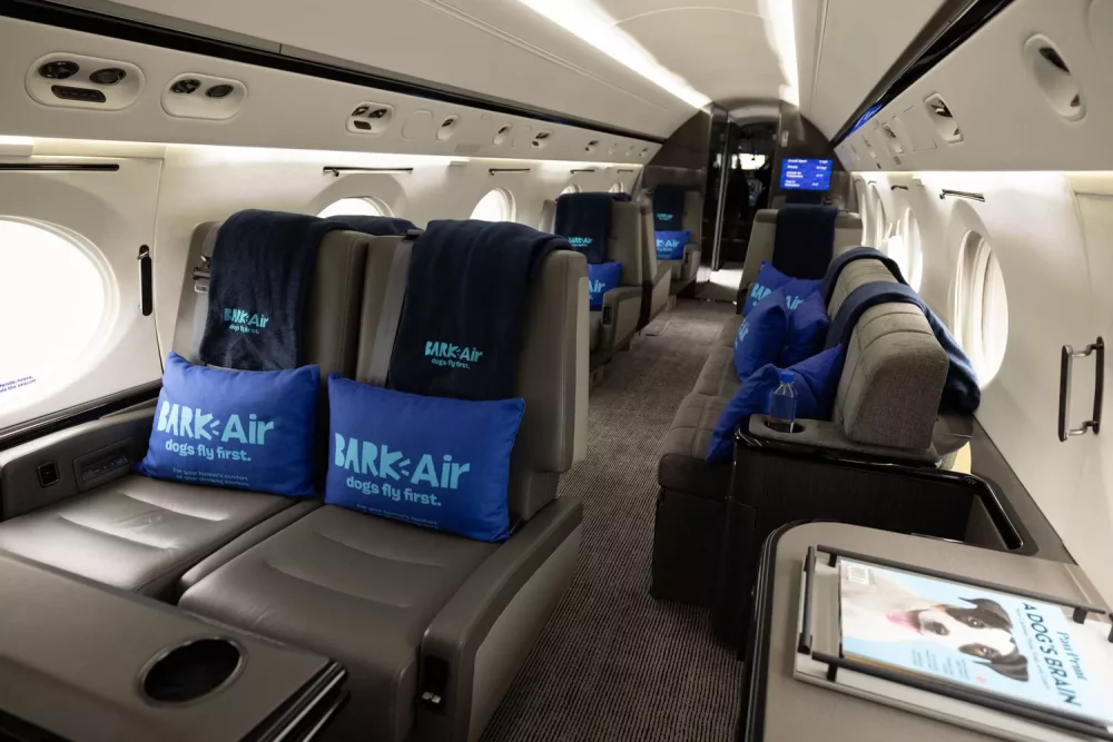 TAL-bark-air-interior-BARK0523-a8f8863e29144bf89afc6325710c4963-1000x667 - Los vuelos de esta nueva aerolínea para cachorros, con boletos de 8 mil dólares, se están agotando