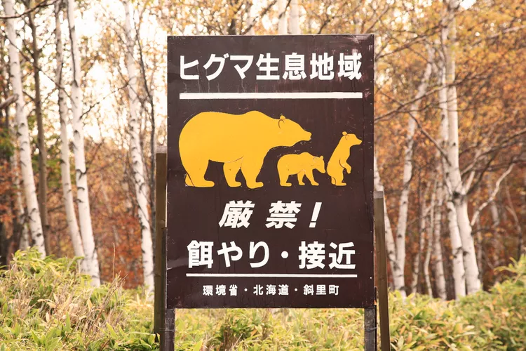 TAL-header-bear-sign-shiretoko-national-park-HOKKAIDOBEARS0224-ed2cde71824e484d8d5c98d5b86e16da - Vi osos, cachalotes y grullas de corona roja en algunos de los parques nacionales más hermosos de Japón