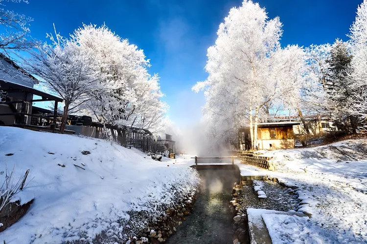 TAL-kawayu-onsen-foot-bath-HOKKAIDOBEARS0224-d70f8cc282a9488ba93bc9571fcaa653 - Vi osos, cachalotes y grullas de corona roja en algunos de los parques nacionales más hermosos de Japón