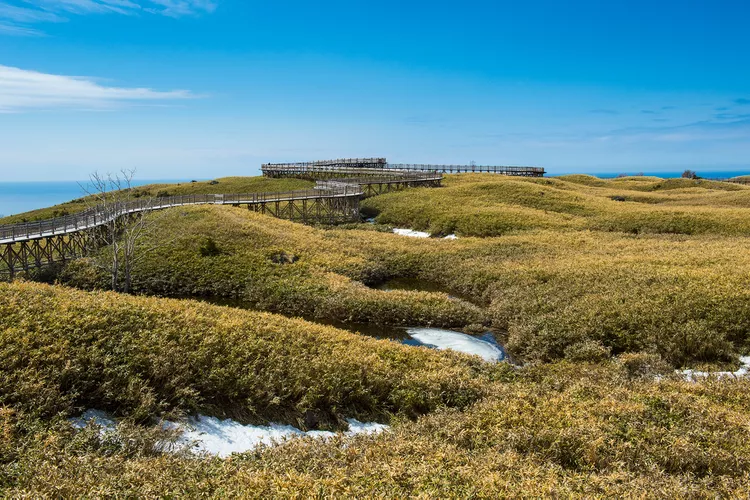 Vi osos, cachalotes y grullas de corona roja en algunos de los parques nacionales más hermosos de Japón