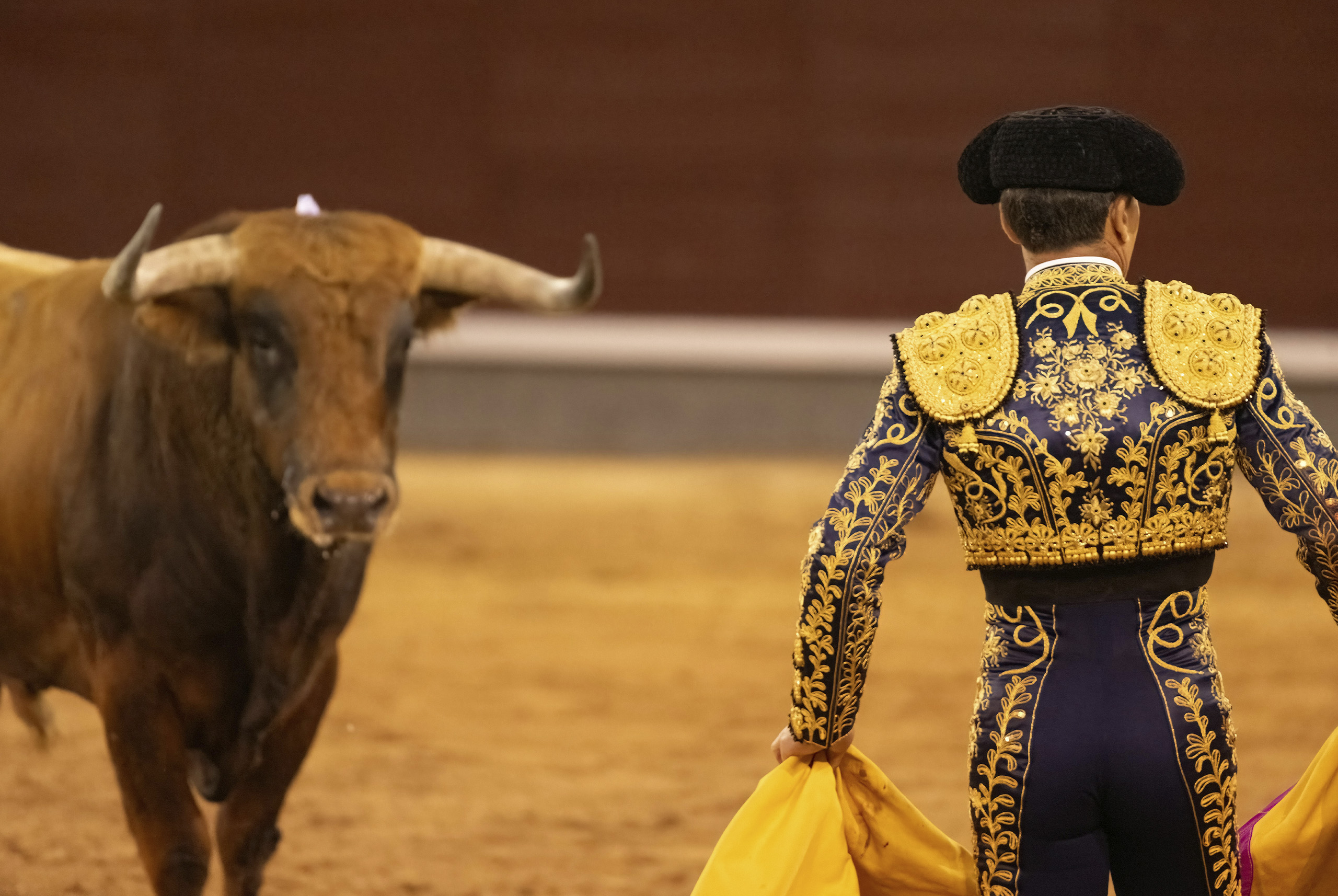 Quiénes son los toreros que participarán de San Fermín 2024