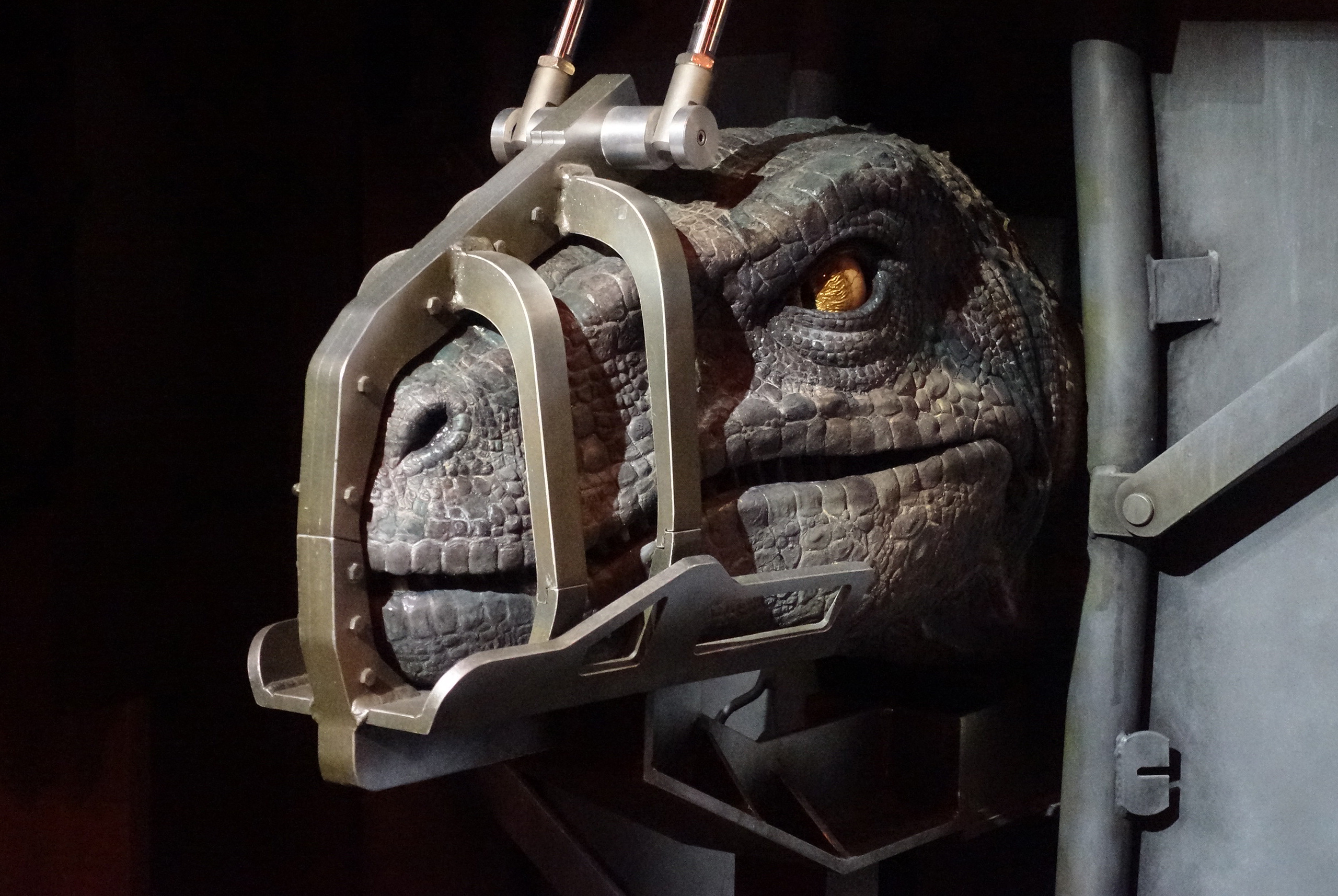 Velocicoaster: esto debes saber sobre una de las mejores atracciones de Universal