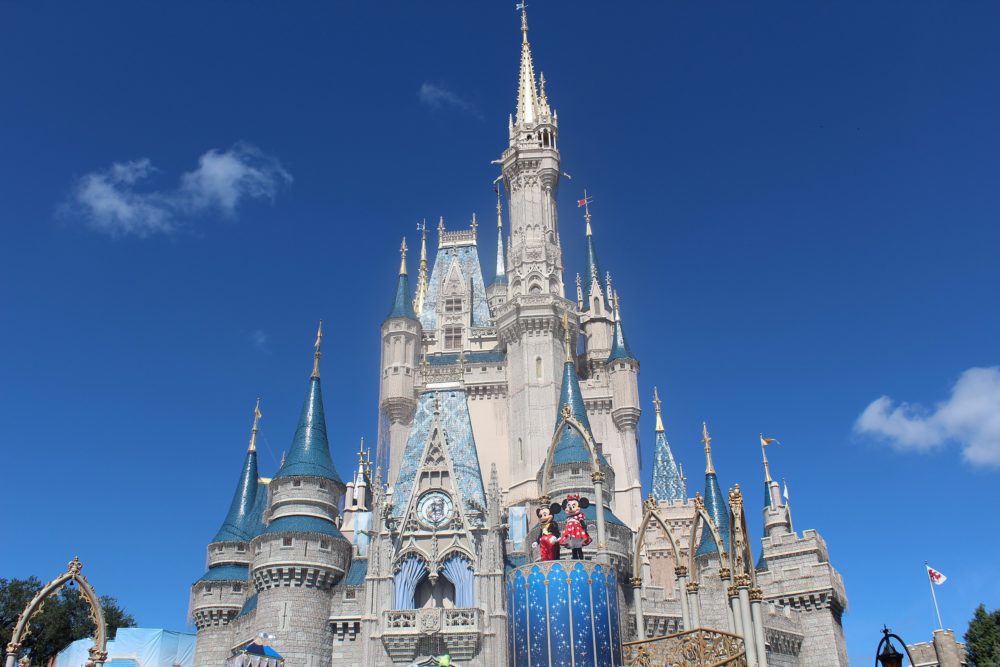 Todas las actividades prohibidas en Walt Disney World