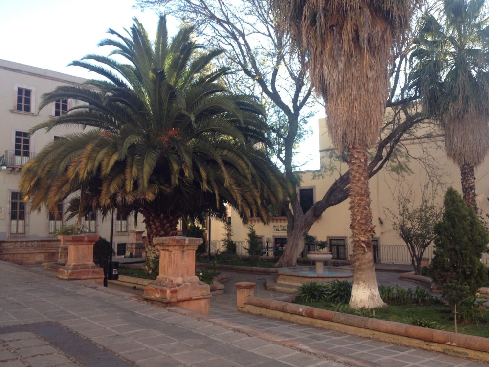 Zacatecas_wikimedia_commons_eurimaco-1000x750 - Qué hacer y ver en Zacatecas: 5 cosas por las que debes conocer esta ciudad colonial