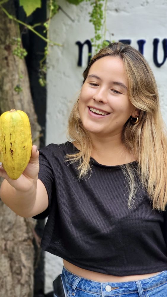 cacao-venezuela-563x1000 - Visitar Venezuela: guía completa de Carabobo