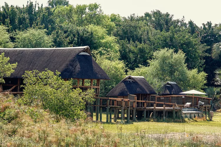 camp-okavango-botswana-ruggiero-desertdelta0524-d8f1c146efc74e52a50797ca938e4f40 - Esta empresa de safaris tiene 9 campamentos con todo incluido que te permiten ver lo mejor de Botswana a pie, en barco y en jeep