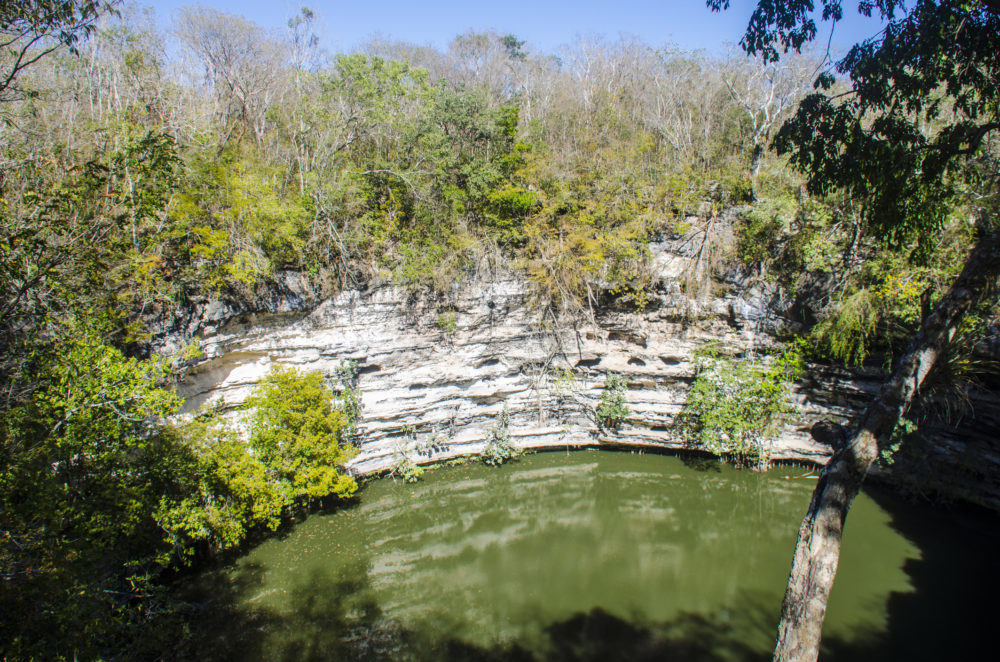 iStock-812779812-1000x662 - Cuáles son los cenotes más espectaculares de México y cómo visitarlos